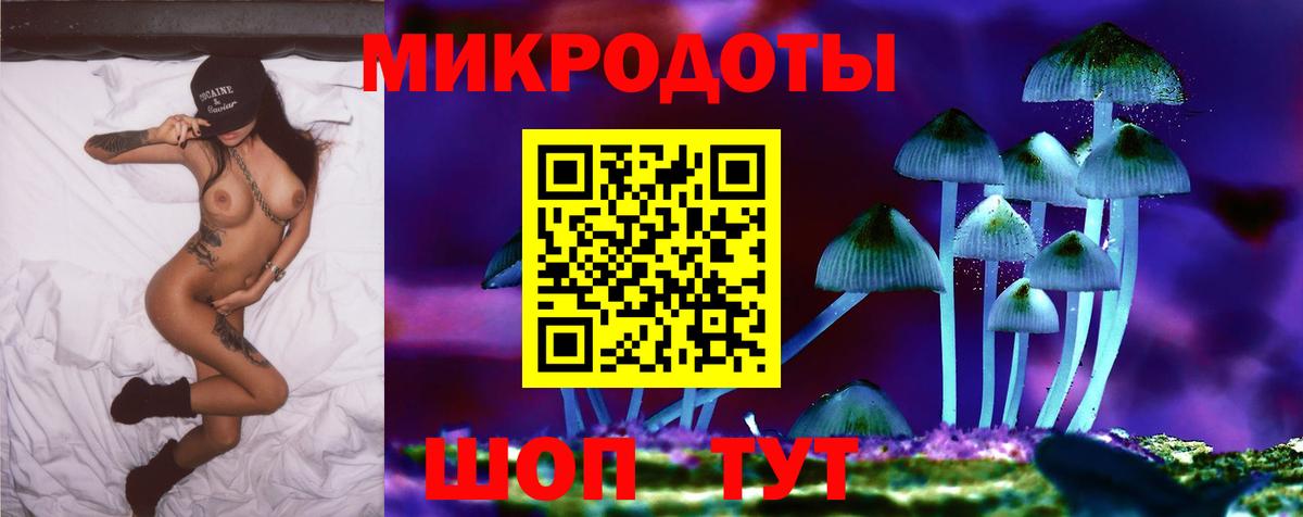 Прохладный  Галлюциногенные грибы ЛСД  Вход с VPN  Галлюциногенные грибы мицелий 