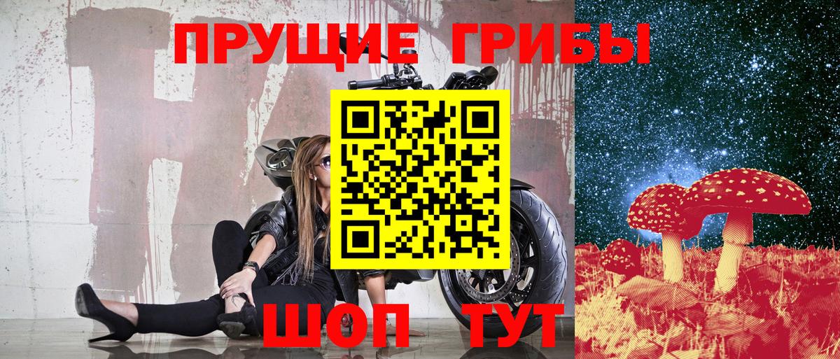 Галлюциногенные грибы Magic Shrooms Прохладный